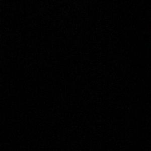 Meet your Posher, Rae